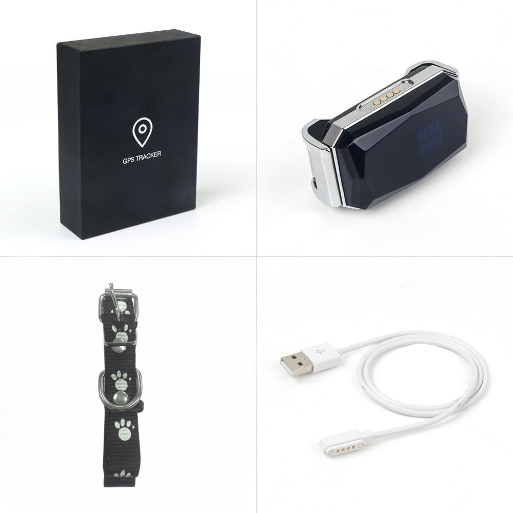 Colier intelligent pour chiens