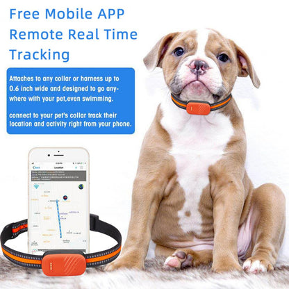 Pet Safety Tracker