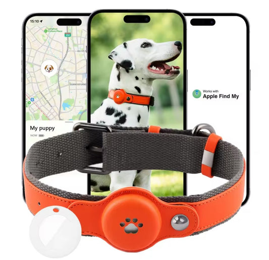 Waterproof GPS Dog Collar