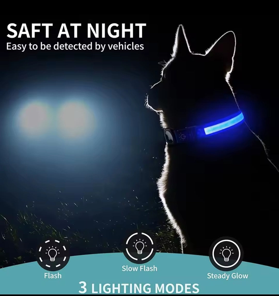 Light Up Tracker Collar