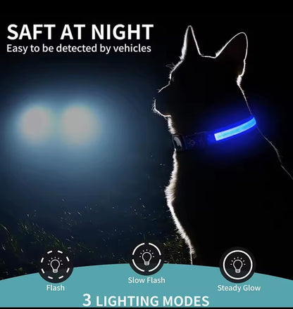 Light Up Tracker Collar