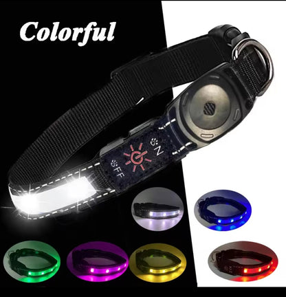 Light Up Tracker Collar