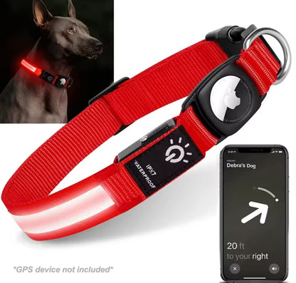 Light Up Tracker Collar